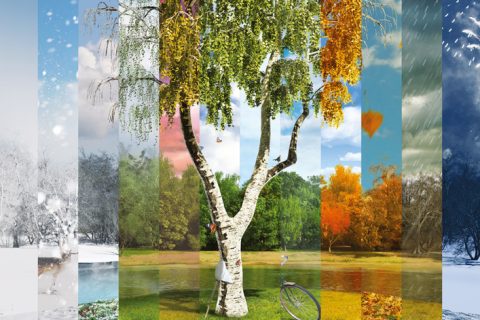 The Year of Ecology by Ecros Engineering