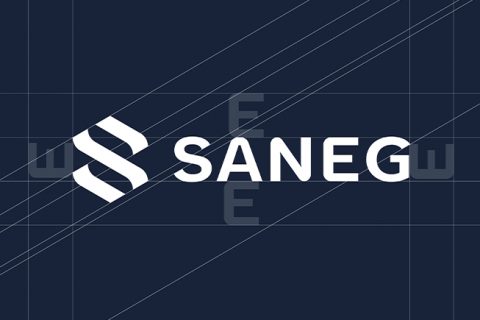 Saneg